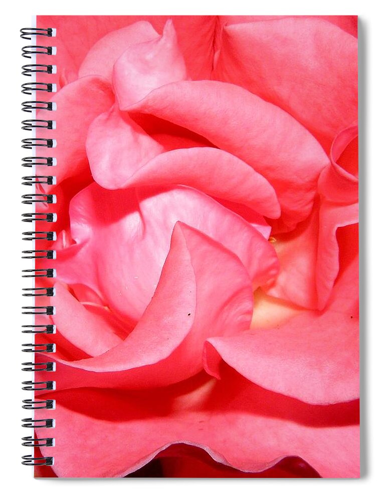 Pink Spiral Notebook featuring the photograph Delicate Swirls Of Pin by Kim Galluzzo Wozniak
