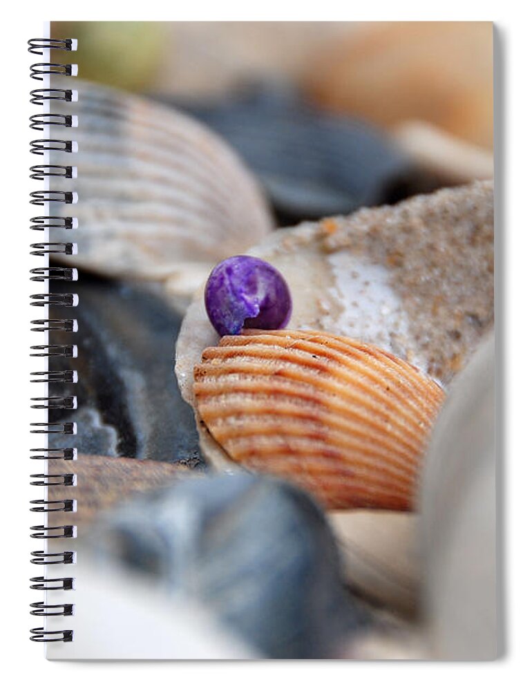 Seashells Spiral Notebook featuring the photograph Different by John Schneider