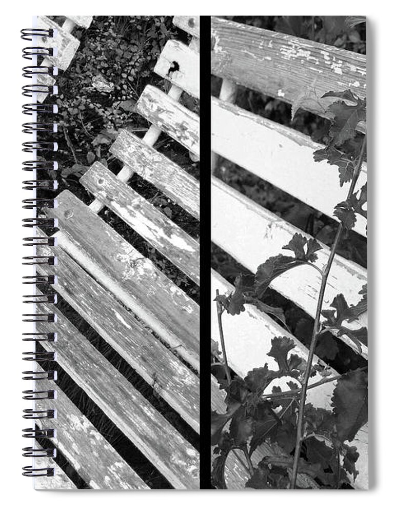 Benches Spiral Notebook featuring the photograph Do You Remember by Eena Bo