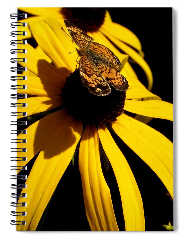 Butterfly Spiral Notebook featuring the photograph Double yellow Delight with a surprise by Kim Galluzzo
