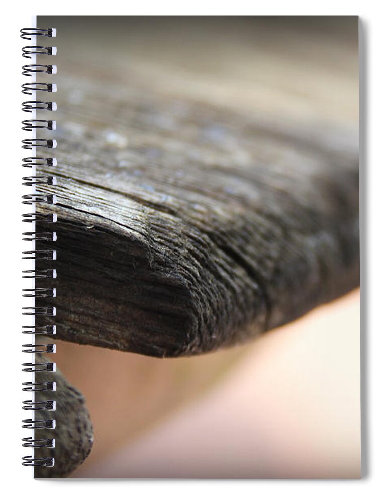 Abstract Spiral Notebook featuring the photograph Drift Wood by Kelly Hazel