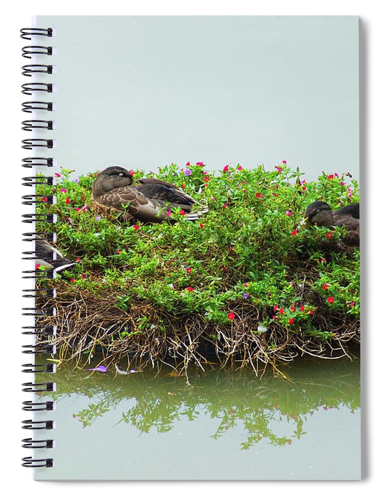 Floating Wreath Spiral Notebook featuring the photograph Duck Heaven by S Paul Sahm
