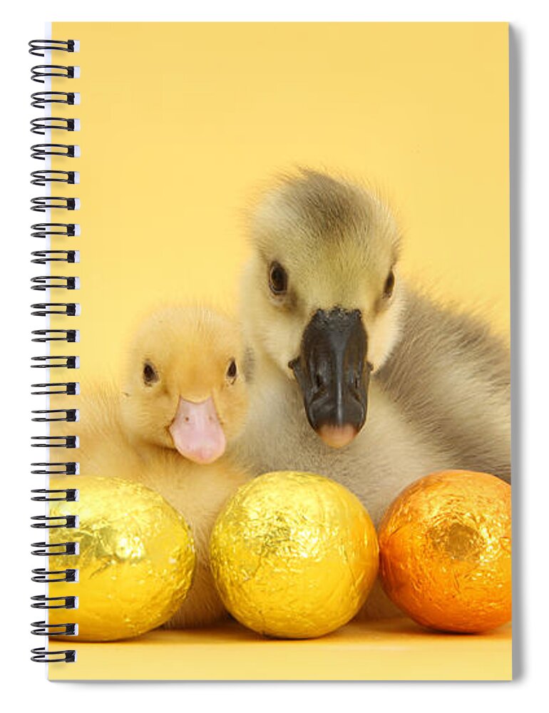 Nature Spiral Notebook featuring the photograph Easter Duckling And Gosling by Mark Taylor