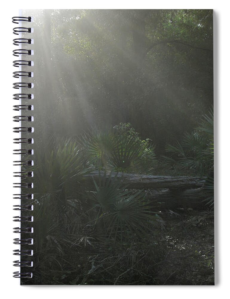 Nature Spiral Notebook featuring the photograph Enchanted Glen by Peggy Urban