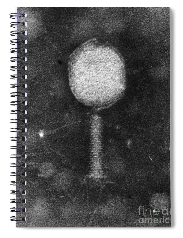 Science Spiral Notebook featuring the photograph Enterobacteria Phage T2 by Omikron