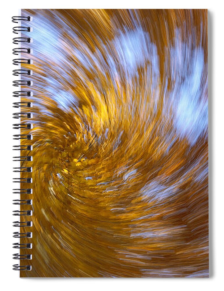 Mp Spiral Notebook featuring the photograph European Beech Fagus Sylvatica Abstract by Konrad Wothe