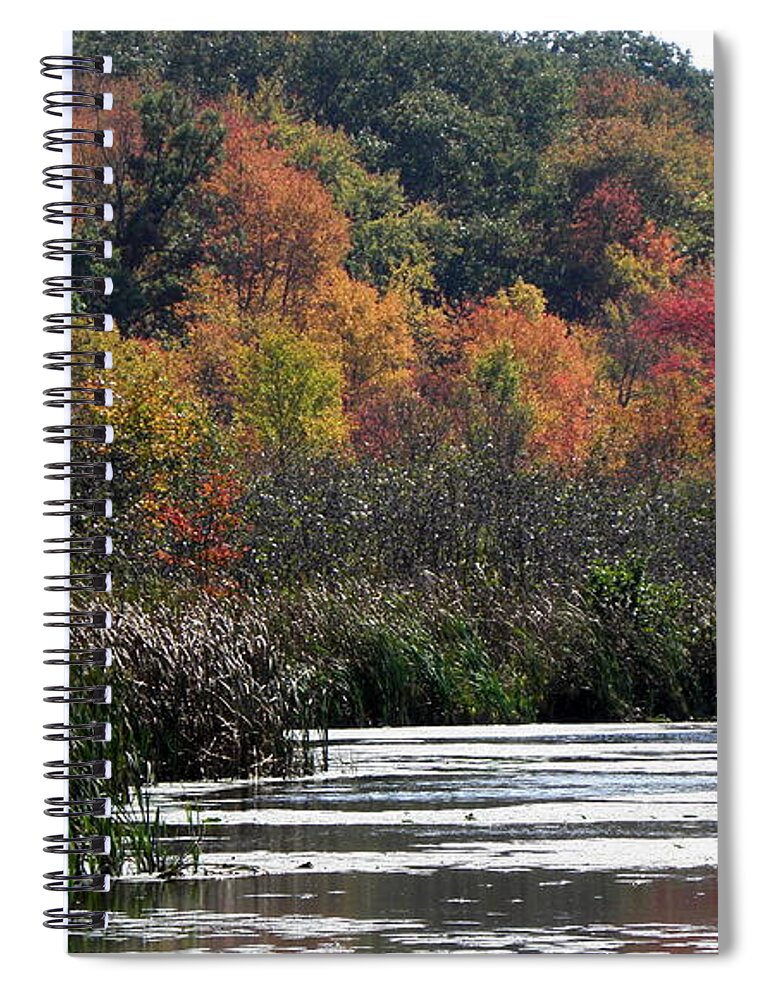 Swamp Spiral Notebook featuring the photograph Even Swamps Have Beauty by Kim Galluzzo