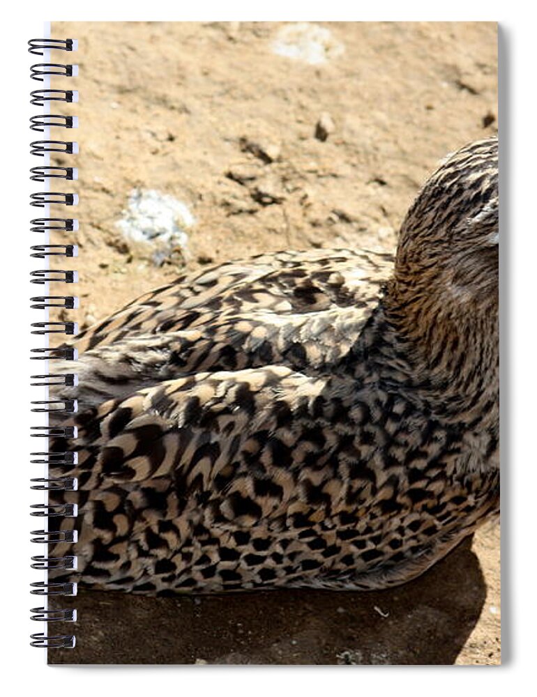 Bird Spiral Notebook featuring the photograph Exotic bird by Kim Galluzzo Wozniak