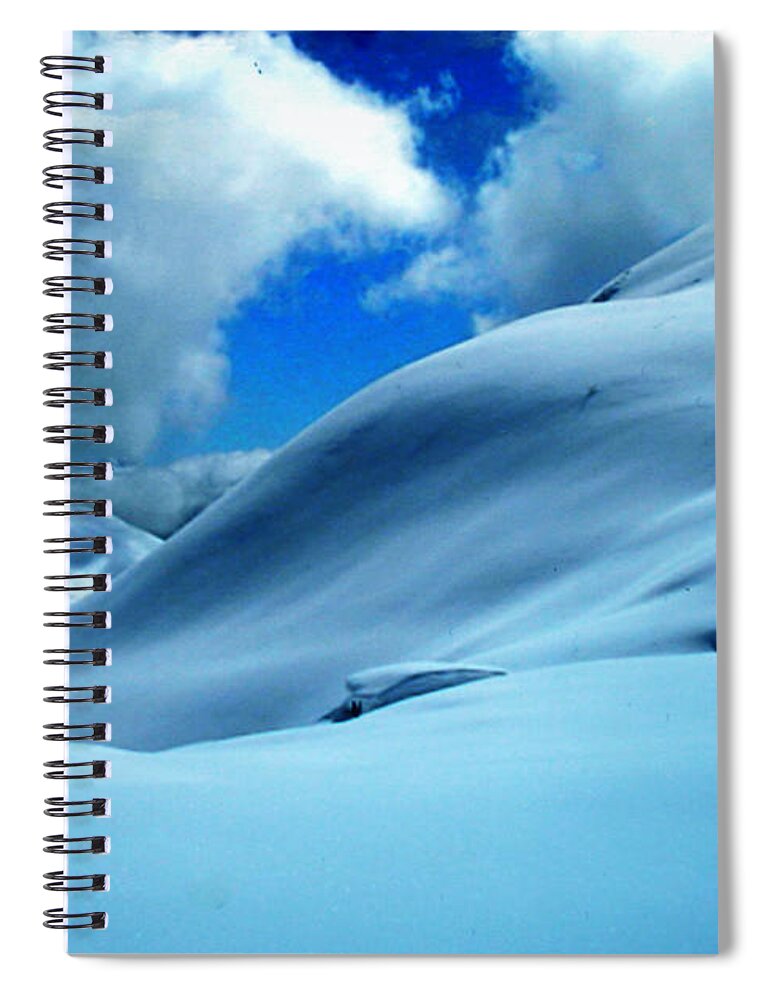 Colette Spiral Notebook featuring the photograph Eye catcher in the Snow by Colette V Hera Guggenheim