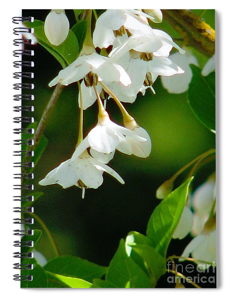 Flowers Spiral Notebook featuring the photograph Faerie Bells 2 by Rory Siegel