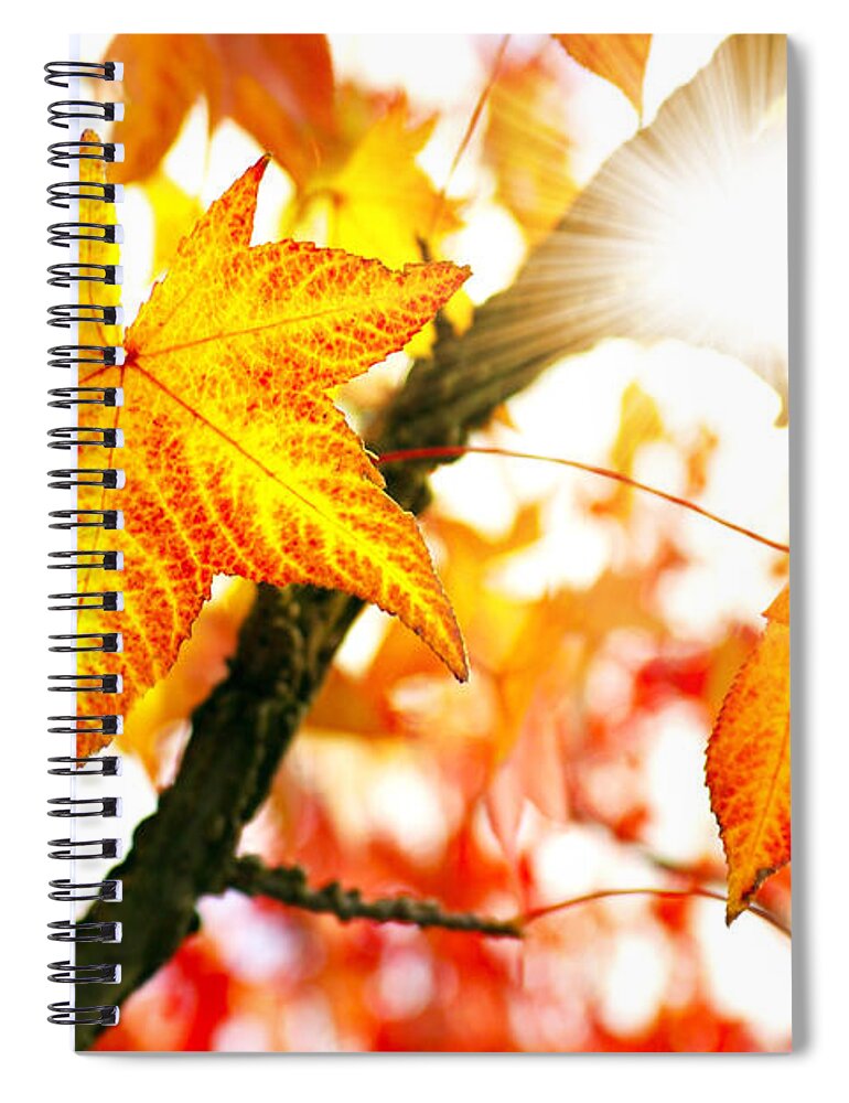 Autumn Spiral Notebook featuring the photograph Fall Colors by Carlos Caetano