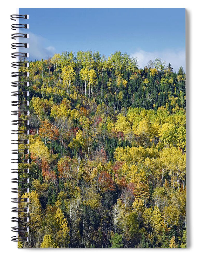 00176917 Spiral Notebook featuring the photograph Fall Colors Chic Chocs Quebec Canada by Tim Fitzharris