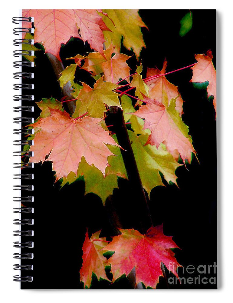 Leaf Spiral Notebook featuring the photograph Fall Grandeur by Rory Siegel