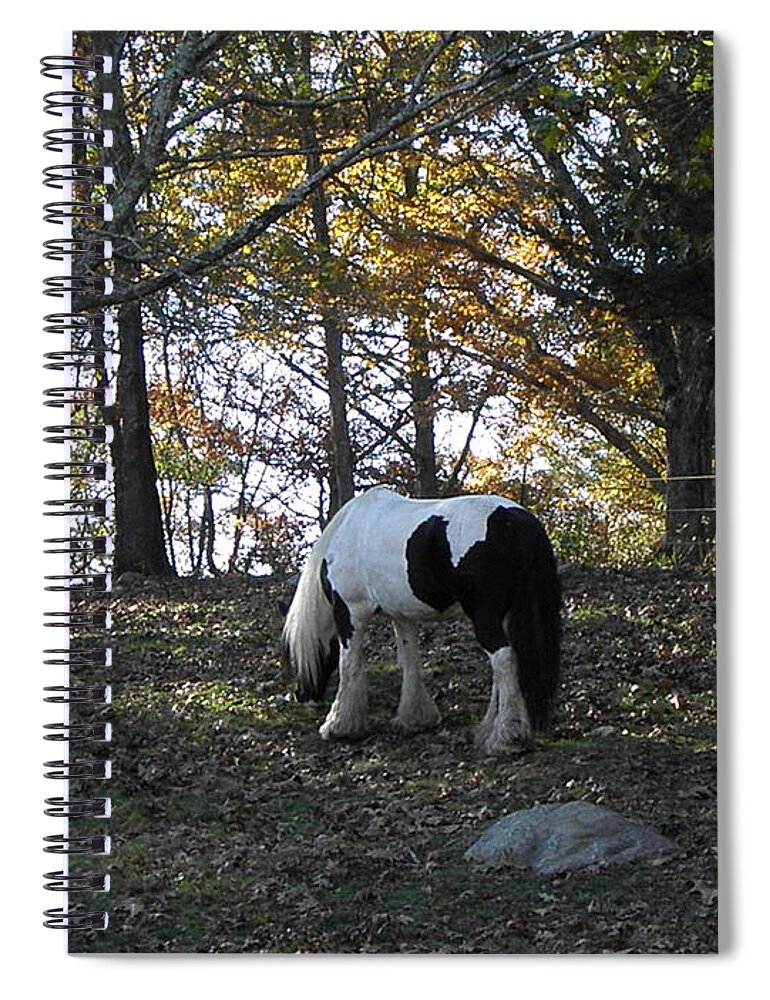 Fall Spiral Notebook featuring the photograph Fall Graze by Kim Galluzzo Wozniak
