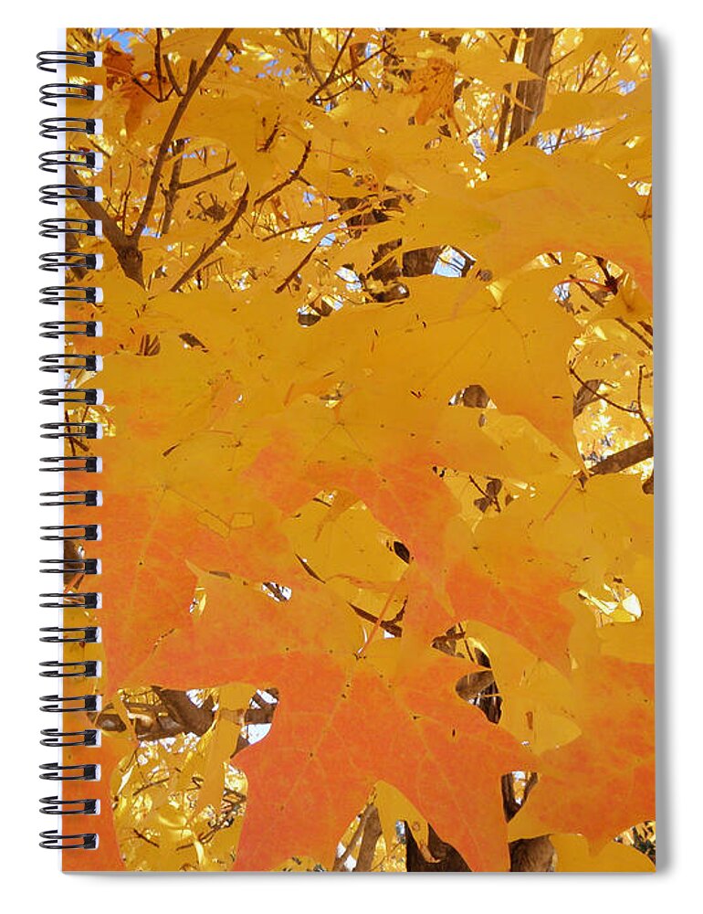 Fall Spiral Notebook featuring the photograph Fall in New England by Kim Galluzzo Wozniak