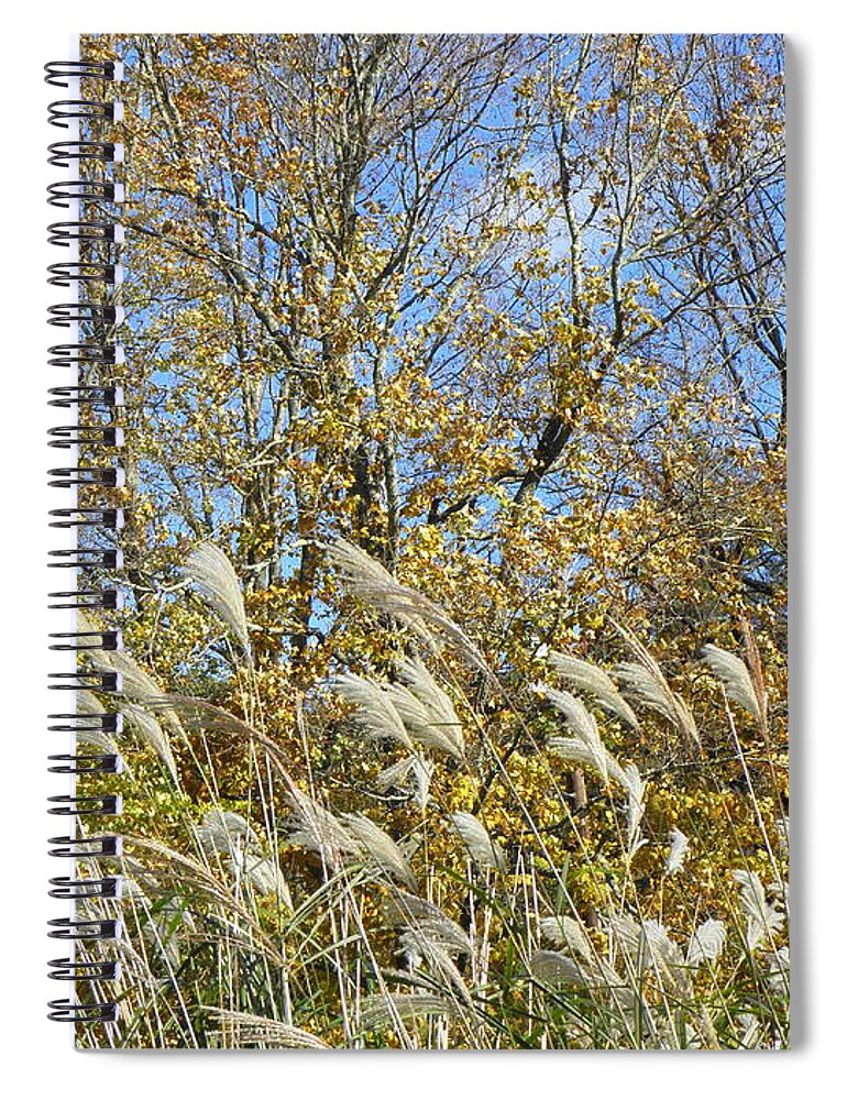 Fall Spiral Notebook featuring the photograph Fall scape in Connecticut by Kim Galluzzo Wozniak
