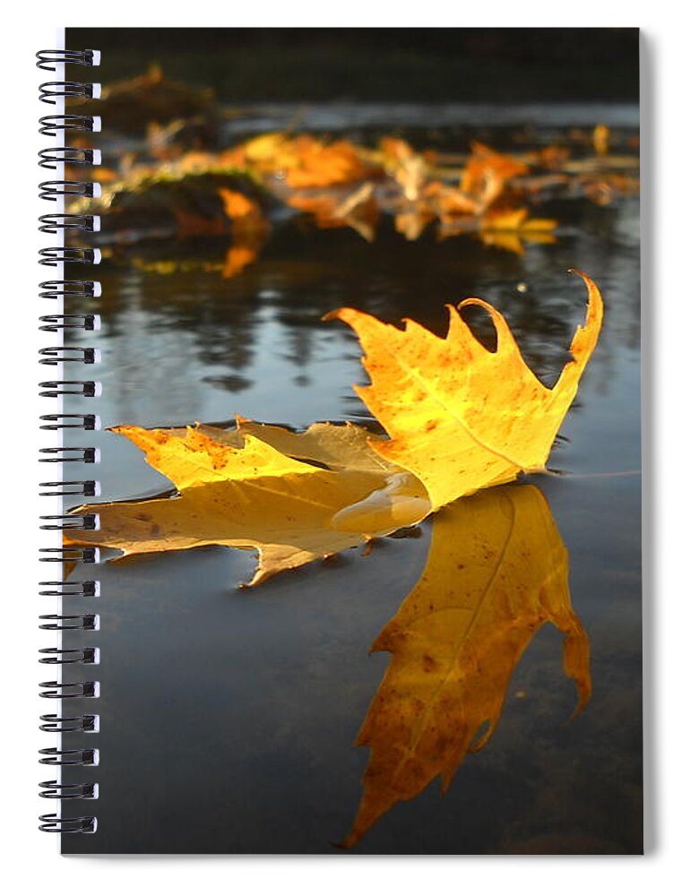 Close Up Spiral Notebook featuring the photograph Fallen Maple Leaf Reflection by Kent Lorentzen