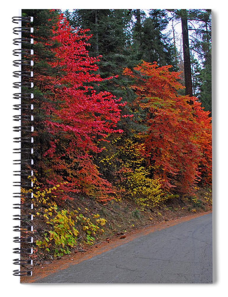 Sequoia National Park Spiral Notebook featuring the photograph Fall's Splendor by Lynn Bauer