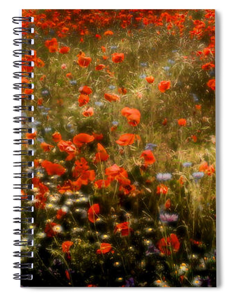 Floral Spiral Notebook featuring the photograph Field of Wildflowers by Ellen Heaverlo