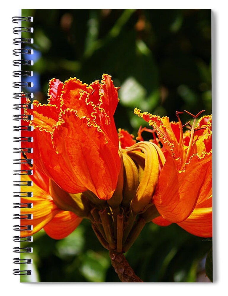 Fine Art Photography Spiral Notebook featuring the photograph Fiery Petals by Patricia Griffin Brett