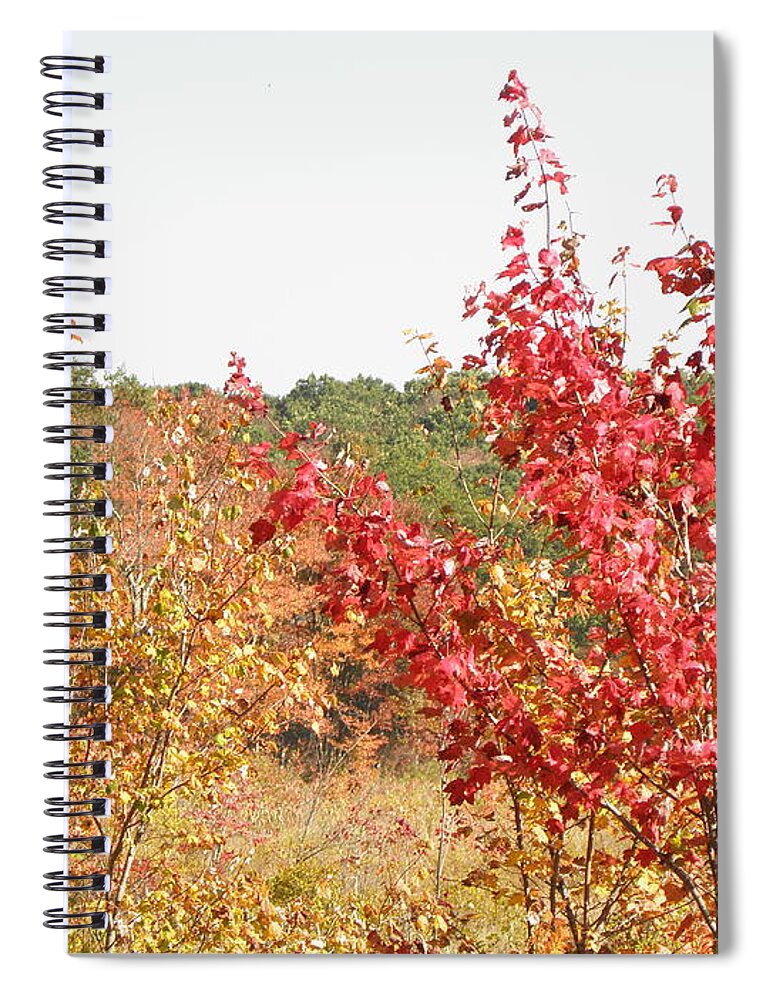Fire Spiral Notebook featuring the photograph Fire Colors by Kim Galluzzo Wozniak