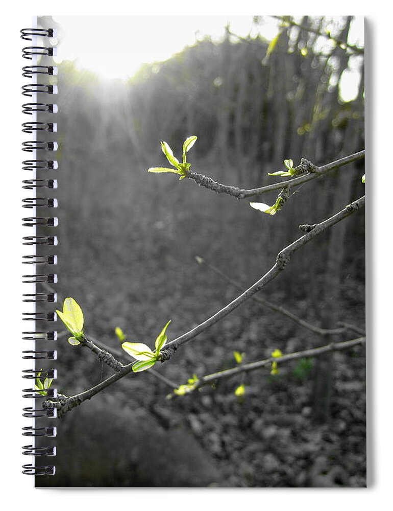 Leaves Spiral Notebook featuring the photograph First buds of spring by Life Makes Art