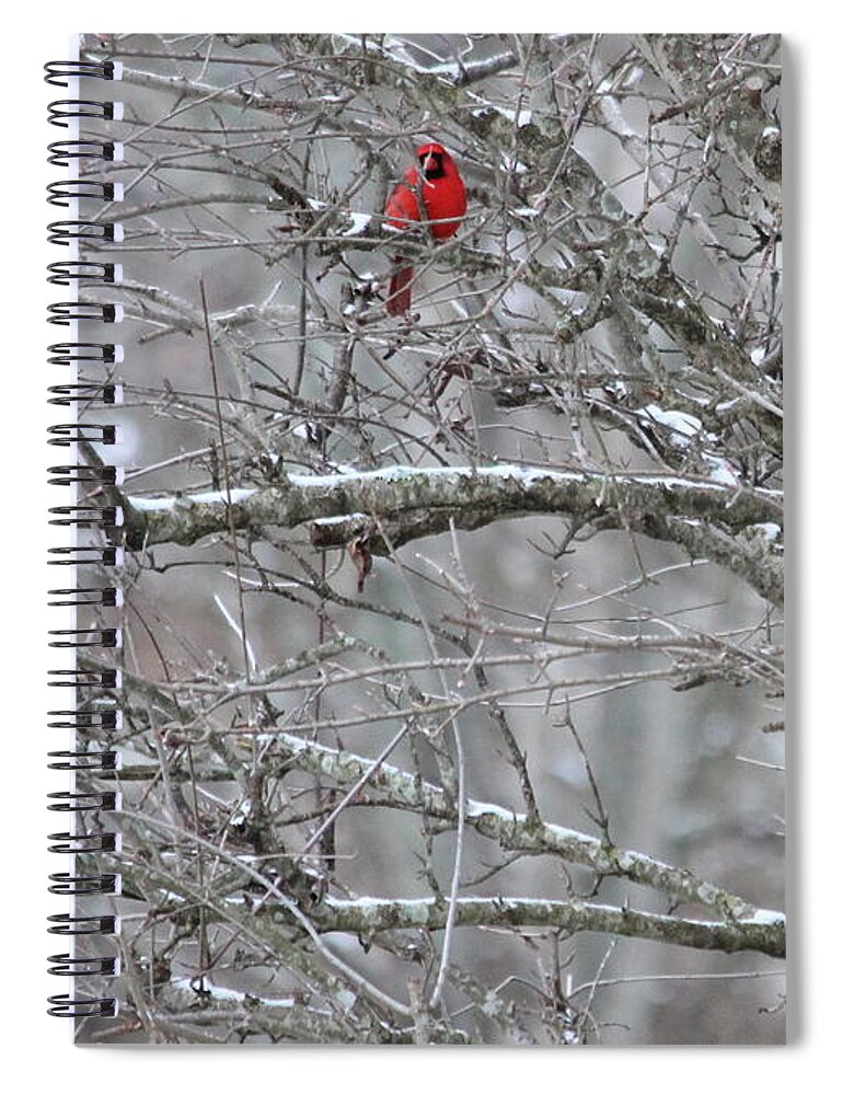 Snow Spiral Notebook featuring the photograph First Snow Fall by Kume Bryant