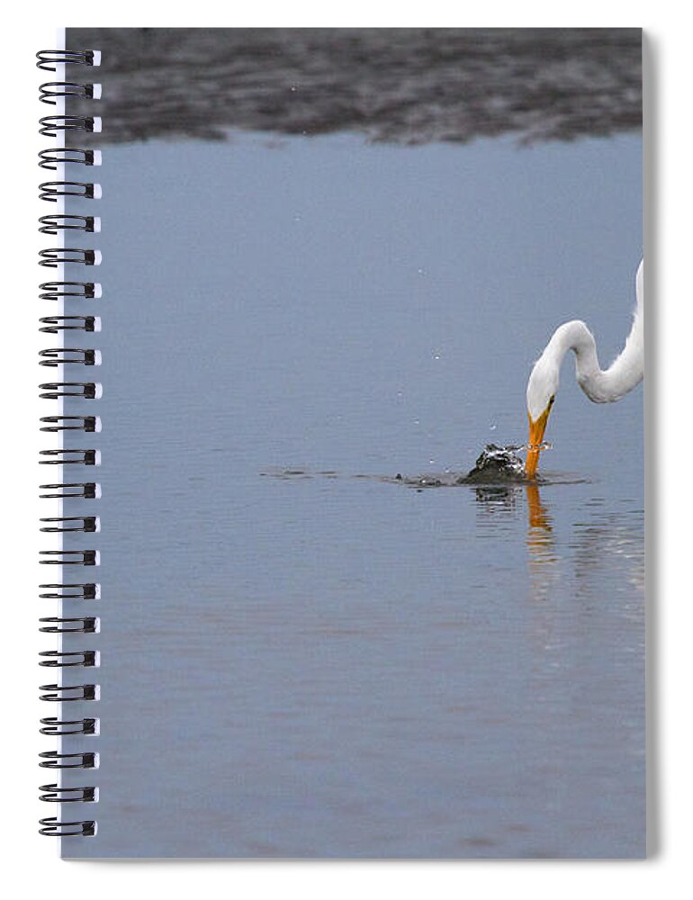 Egret Spiral Notebook featuring the photograph Fishing for a Meal by Karol Livote