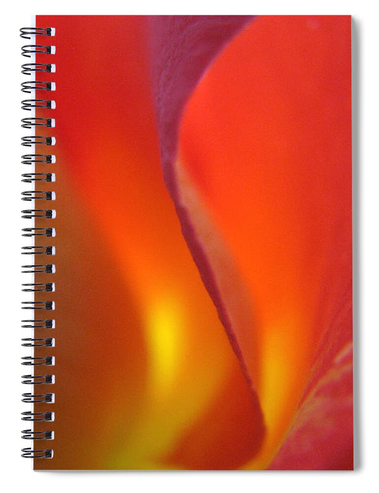 Rose Spiral Notebook featuring the photograph Flame by Stacey Zimmerman