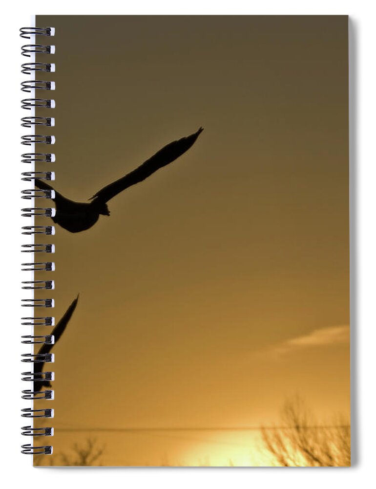 Geese Spiral Notebook featuring the photograph Flight At Sunset by Ed Peterson