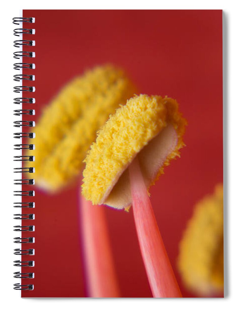 Bangalore Spiral Notebook featuring the photograph Flower - extreme close-up by SAURAVphoto Online Store