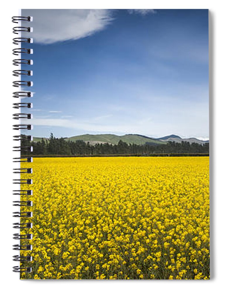 00498847 Spiral Notebook featuring the photograph Flowering Mustard Crop In Canterbury by Colin Monteath