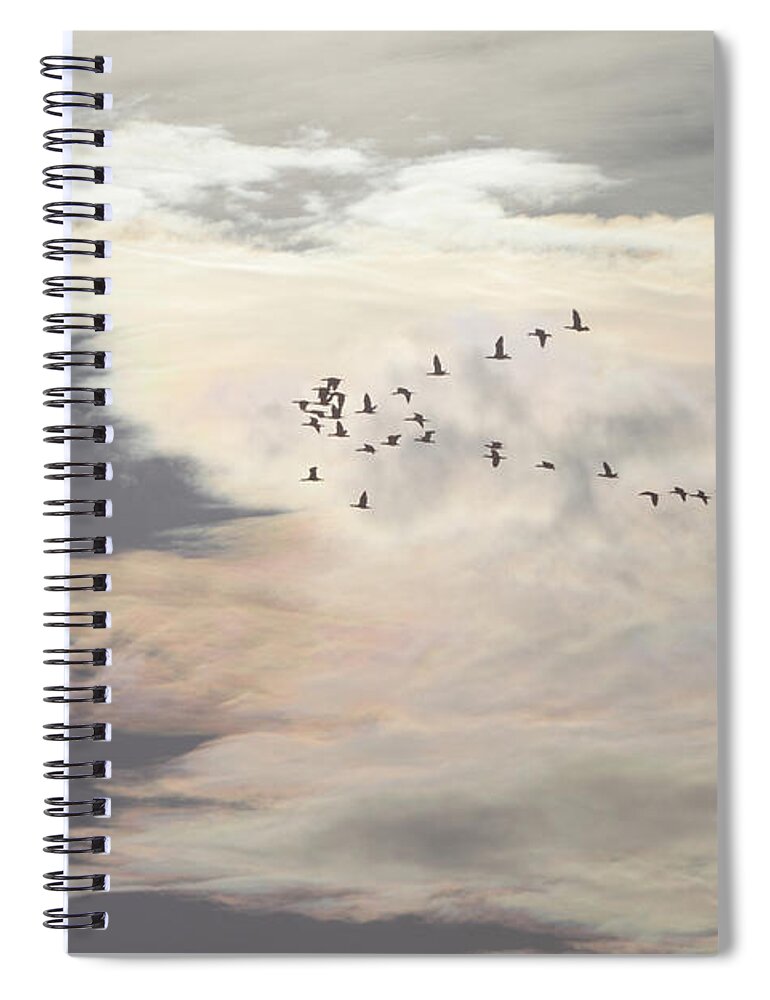 Swarm Spiral Notebook featuring the photograph Flying through the evening sky by Ulrich Kunst And Bettina Scheidulin