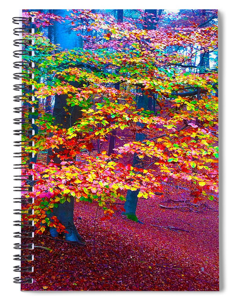 Tree Spiral Notebook featuring the photograph Forest color leaves by Go Van Kampen