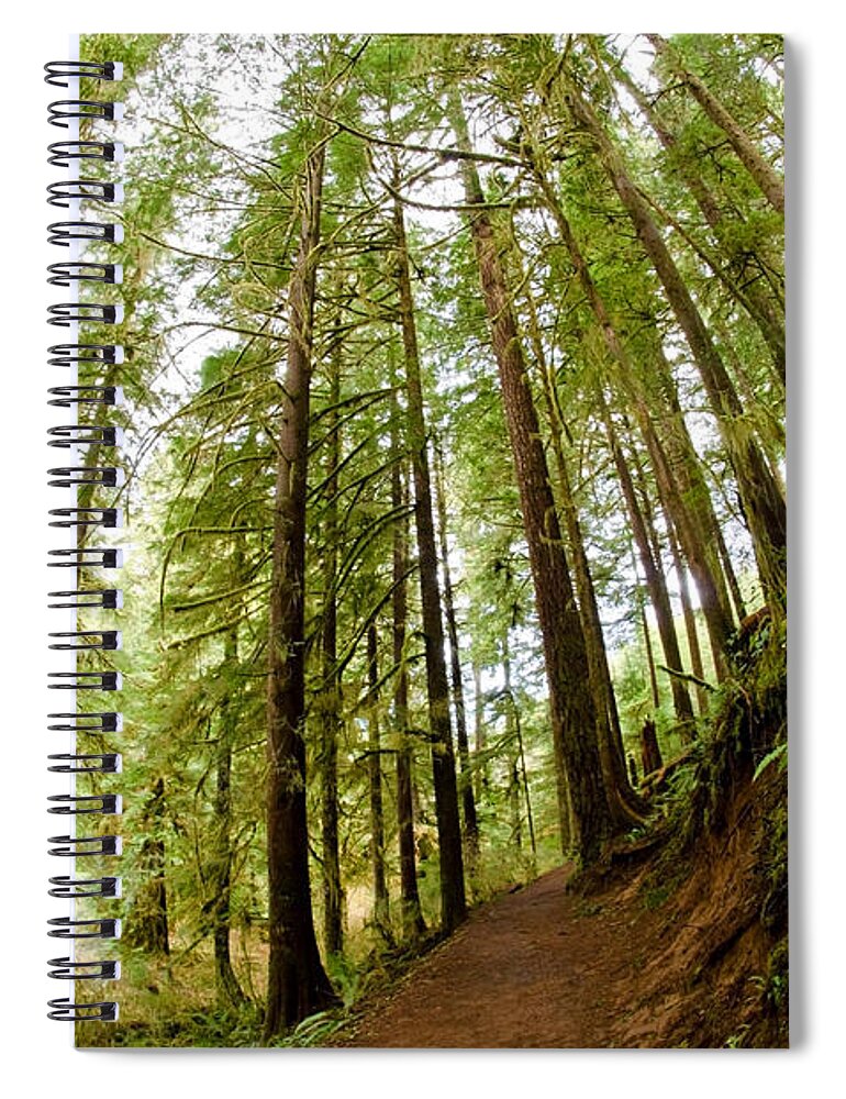Forest Spiral Notebook featuring the photograph Forest Love by Margaret Pitcher