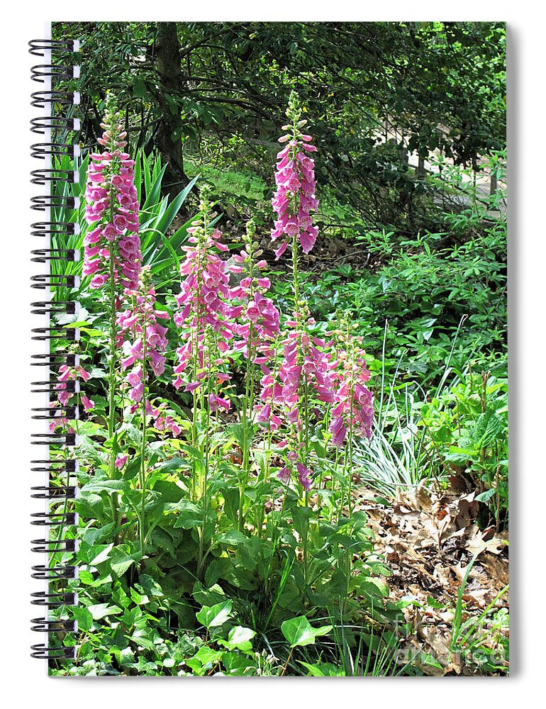 Foxglove Spiral Notebook featuring the photograph Foxgloves in My Garden by Sandy McIntire