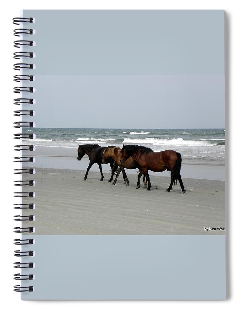 Wild Spiral Notebook featuring the photograph Free and Wild by Kim Galluzzo