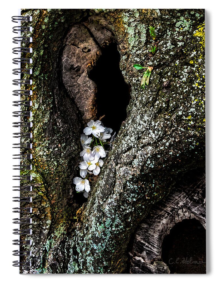Cherry Spiral Notebook featuring the photograph From the Heart by Christopher Holmes