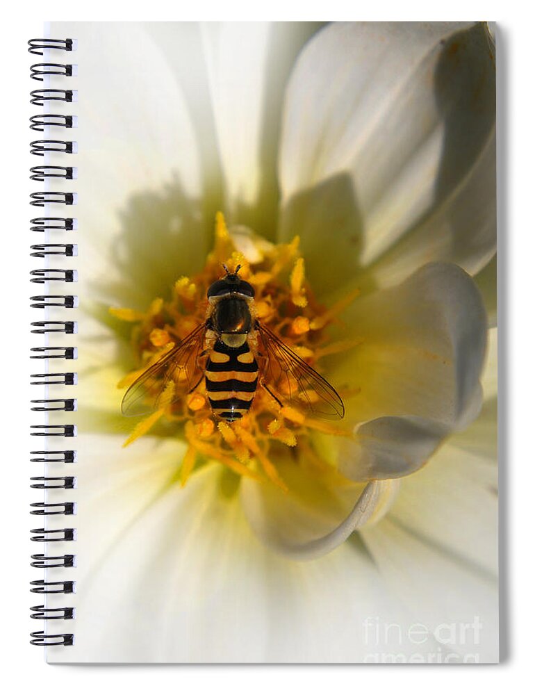 Yhun Suarez Spiral Notebook featuring the photograph Get Hover It by Yhun Suarez