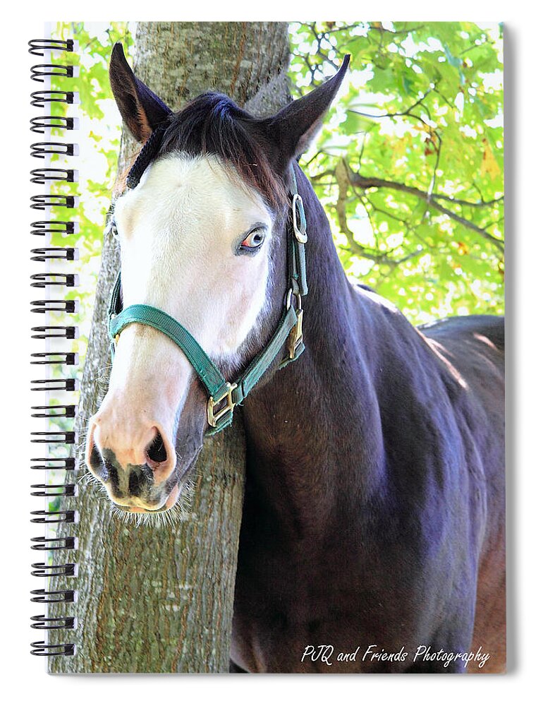  Spiral Notebook featuring the photograph 'Ghostface' by PJQandFriends Photography