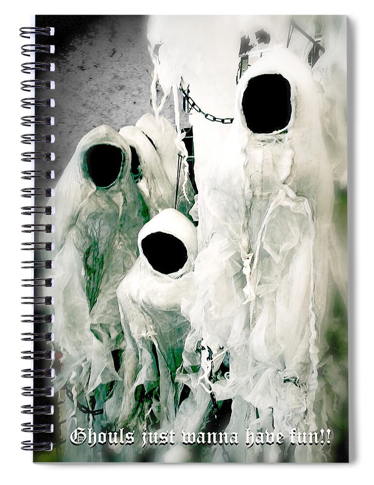Halloween Spiral Notebook featuring the photograph Ghouls Just Wanna Have Fun by Diana Haronis