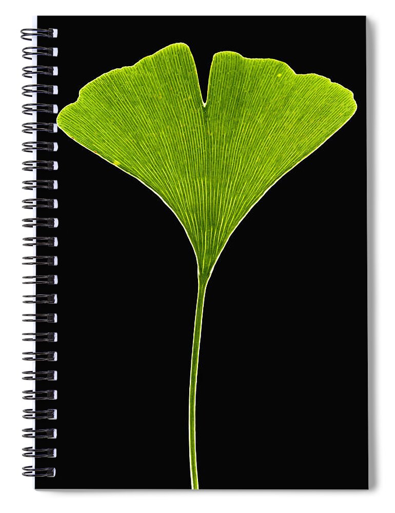 00476886 Spiral Notebook featuring the photograph Ginkgo Leaf by Piotr Naskrecki