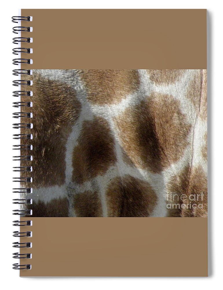 Giraffe Spiral Notebook featuring the photograph Giraffe Body Print by Kim Galluzzo Wozniak