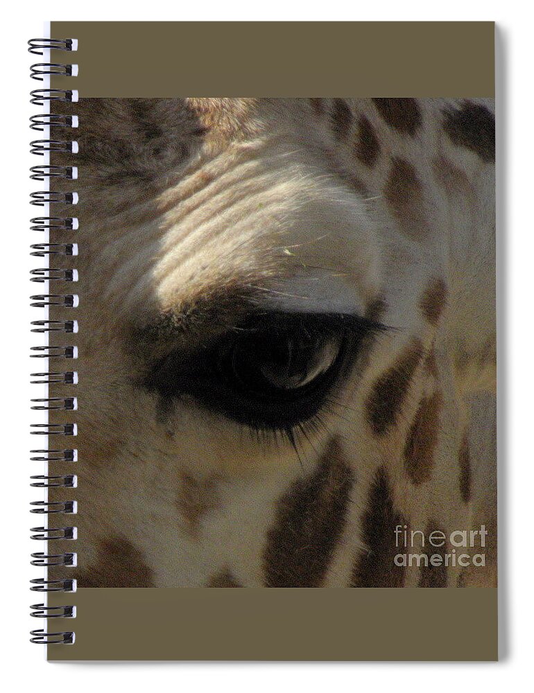 Giraffe Eye Spiral Notebook featuring the photograph Giraffe eye by Kim Galluzzo Wozniak