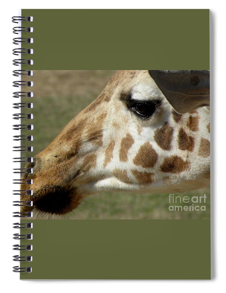 Giraffe Spiral Notebook featuring the photograph Giraffe Facial Shot by Kim Galluzzo