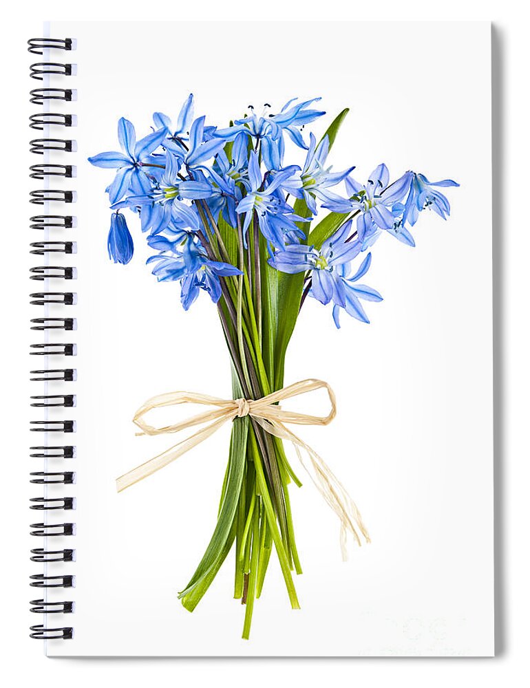 Bouquet Spiral Notebook featuring the photograph Blue wildflower bouquet by Elena Elisseeva
