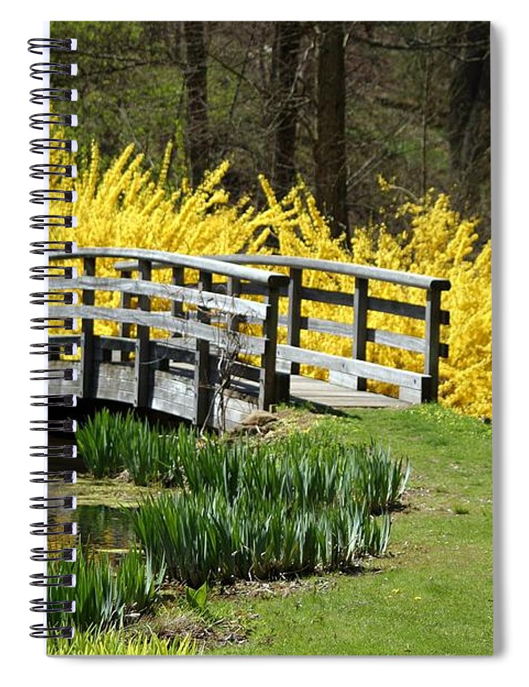 Spring Spiral Notebook featuring the photograph Golden Days Of Spring by Living Color Photography Lorraine Lynch