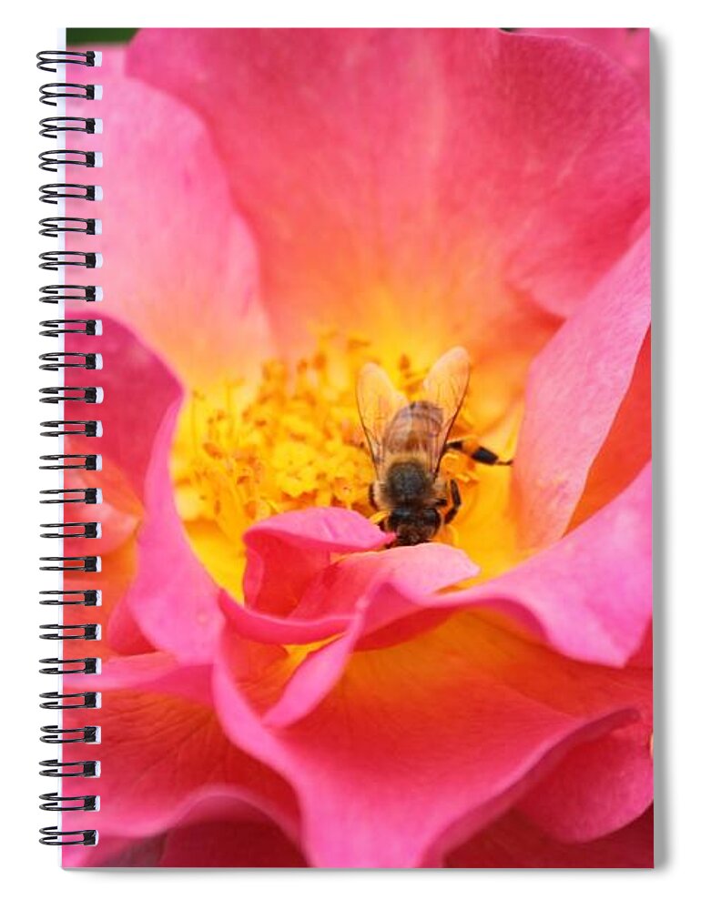 Bee Spiral Notebook featuring the photograph Good Morning by Amy Gallagher
