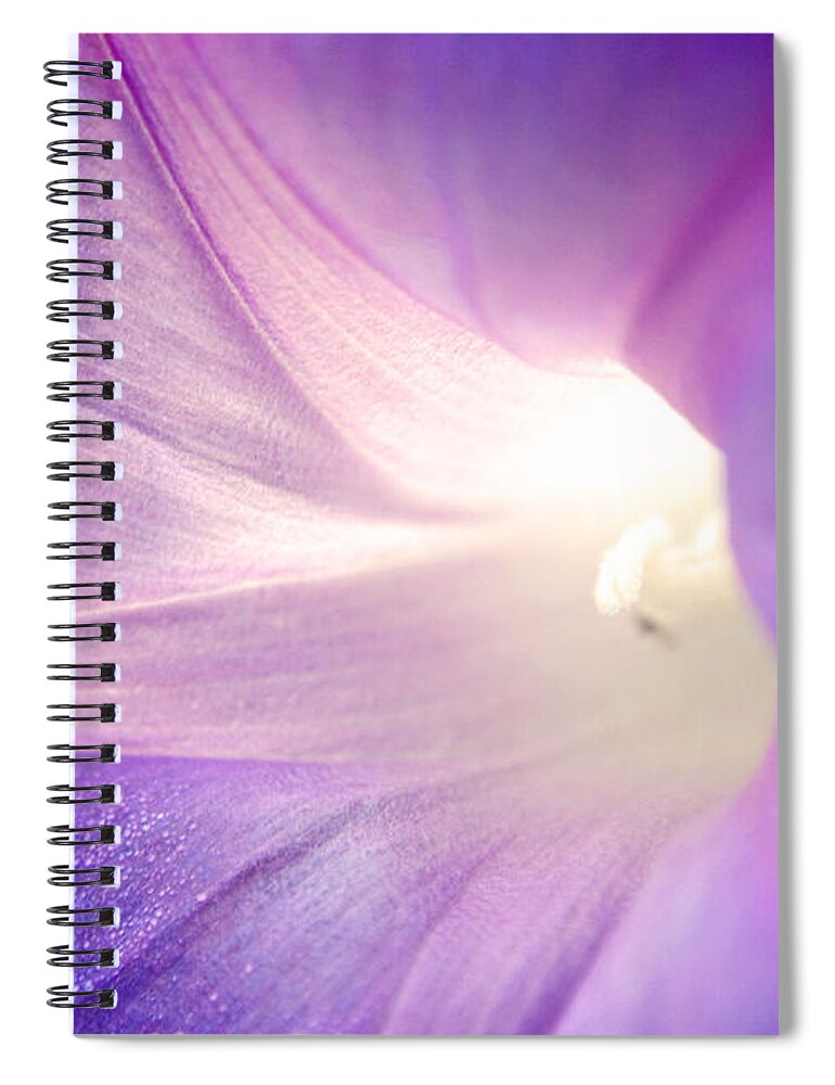 Flower Spiral Notebook featuring the photograph Good Morning Glory by Melanie Moraga