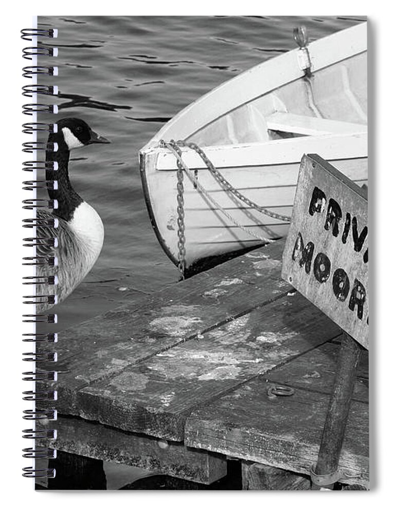 Goose Spiral Notebook featuring the photograph Goose on Pier by La Dolce Vita
